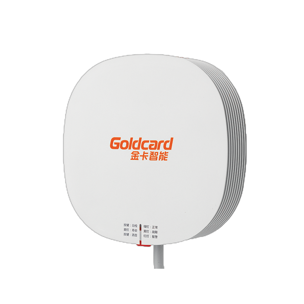 Laser-Based Gas Detector
